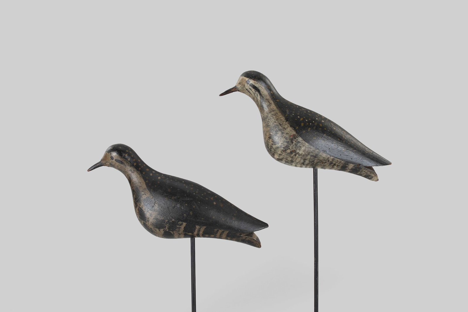 Golden Plover Pair - 2