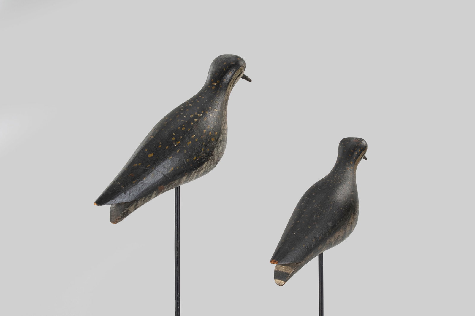 Golden Plover Pair - 3