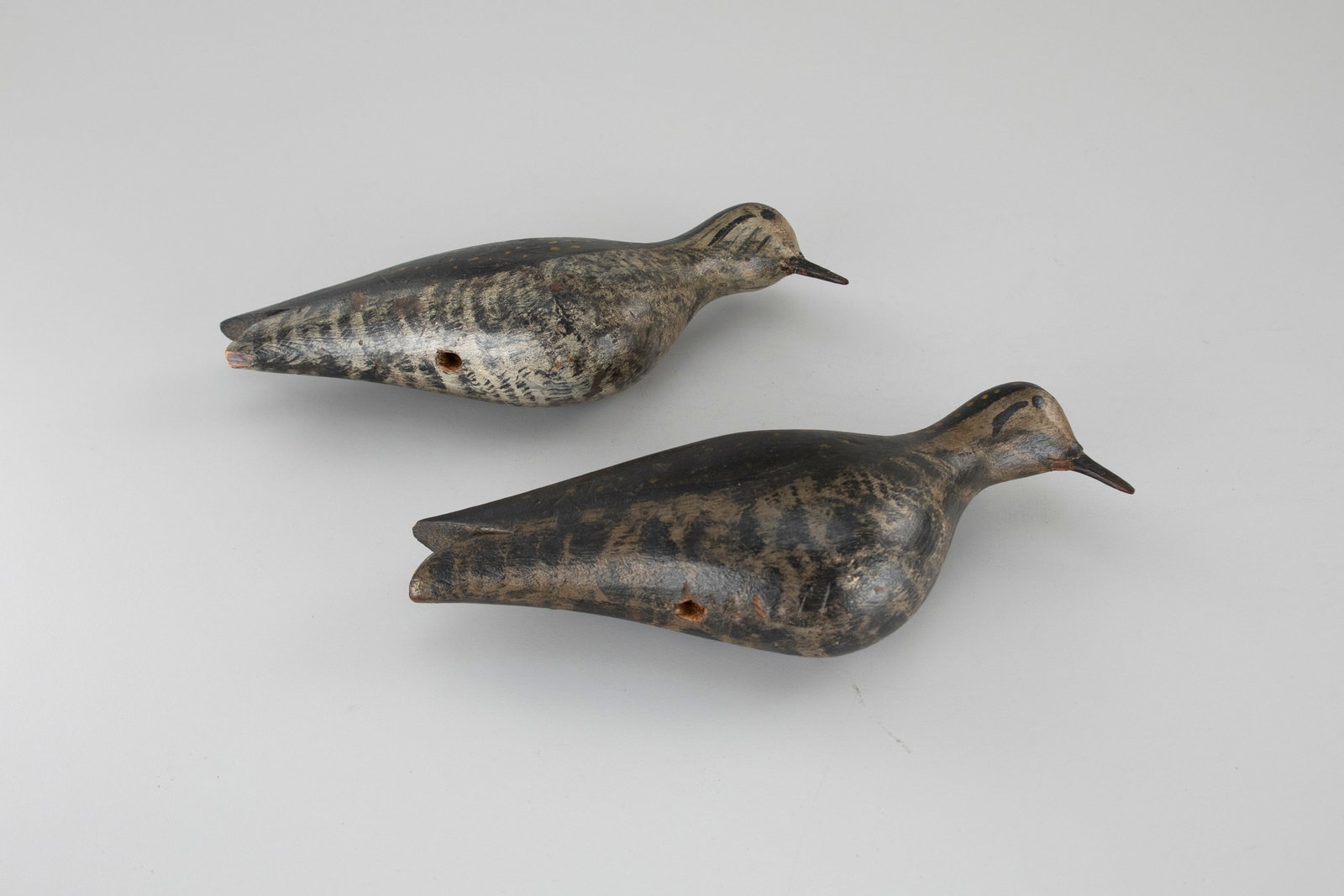 Golden Plover Pair - 4