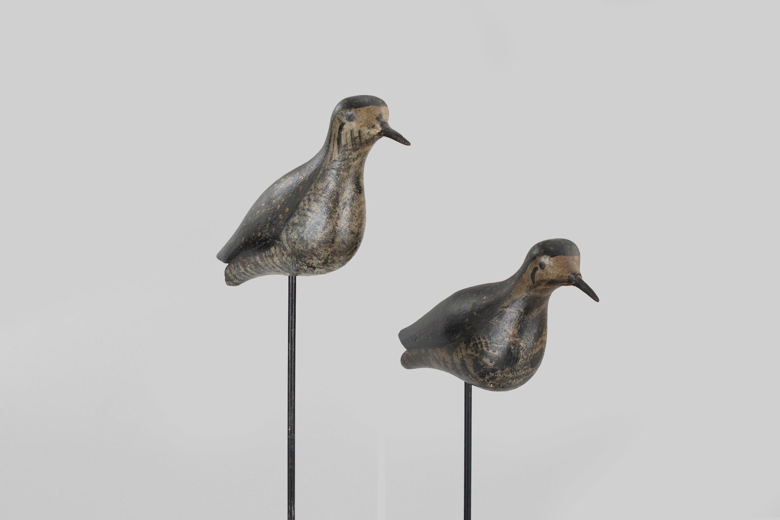 Golden Plover Pair - 5