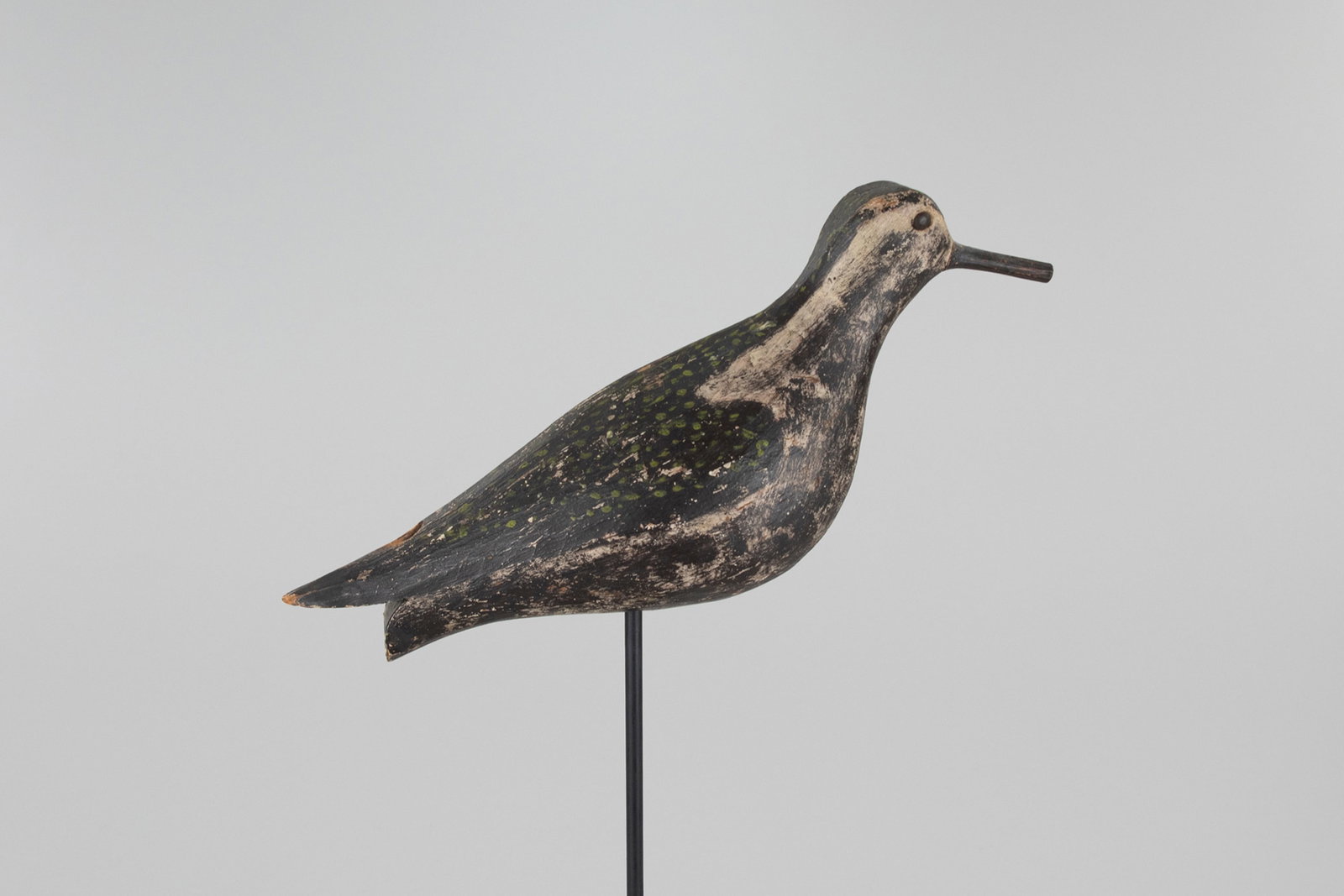 "Greenback" Golden Plover: "Greenback" Golden Plover North Shore, MA, c. 1890 12 1/4 in. long An oversize golden plover with bright green plumage and a stringing hole in front of the tail. "Greenback" was a historic name for