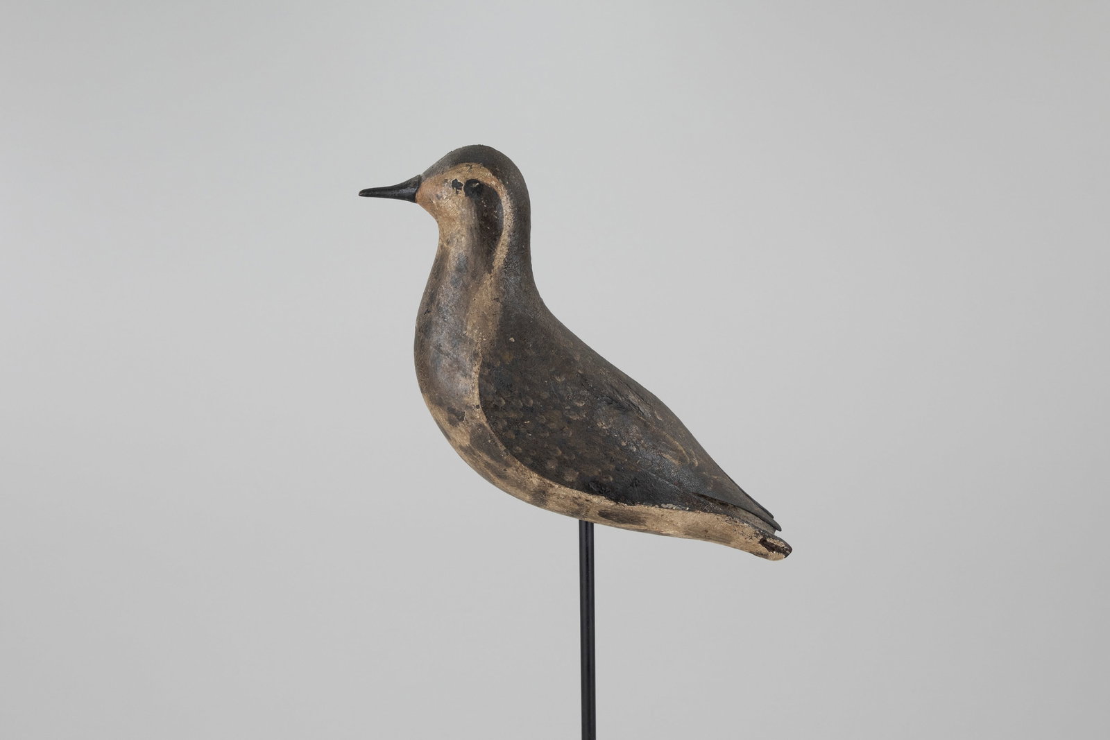 Hollow Golden Plover by the Chipman Family (1 of 5)