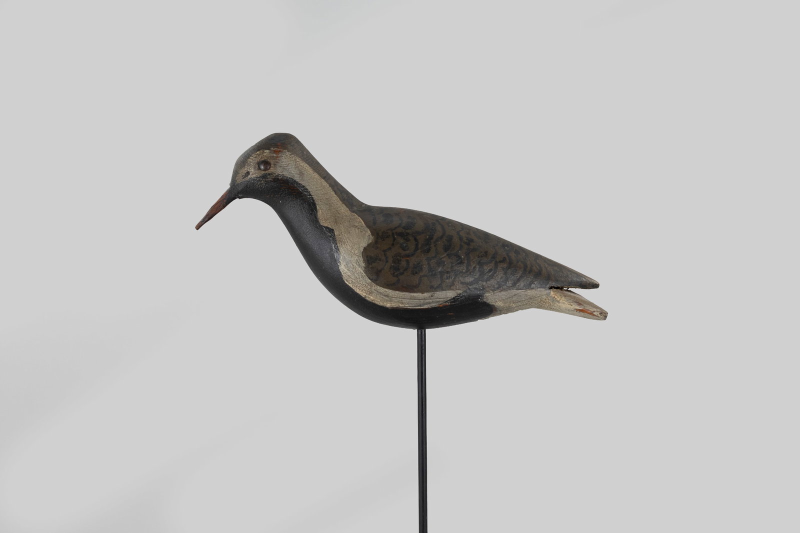 Black-Bellied Plover: Black-Bellied Plover North Shore, MA, c. 1900 11 3/4 in. long A rare plover with a deeply incised "JPN" in the underside. This decoy shows parallels with the works of Tom Wilson, including the