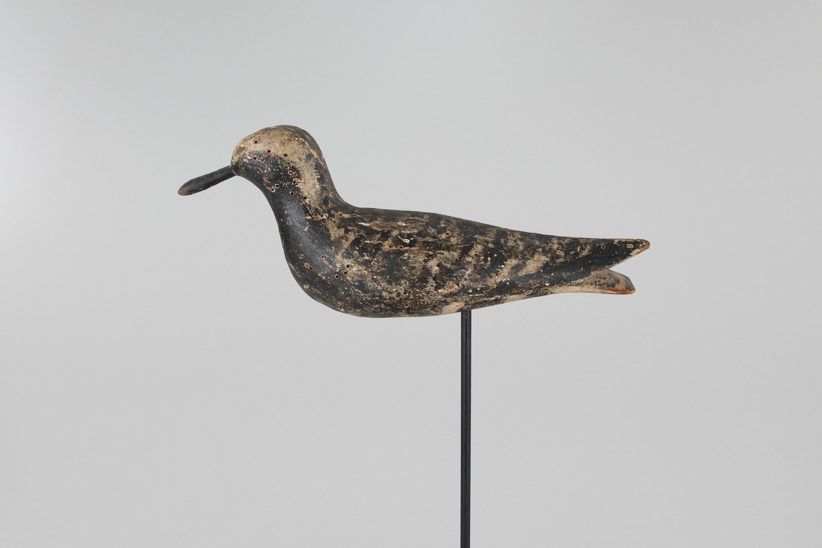 Plover attributed to the Mayo Family (1 of 5)