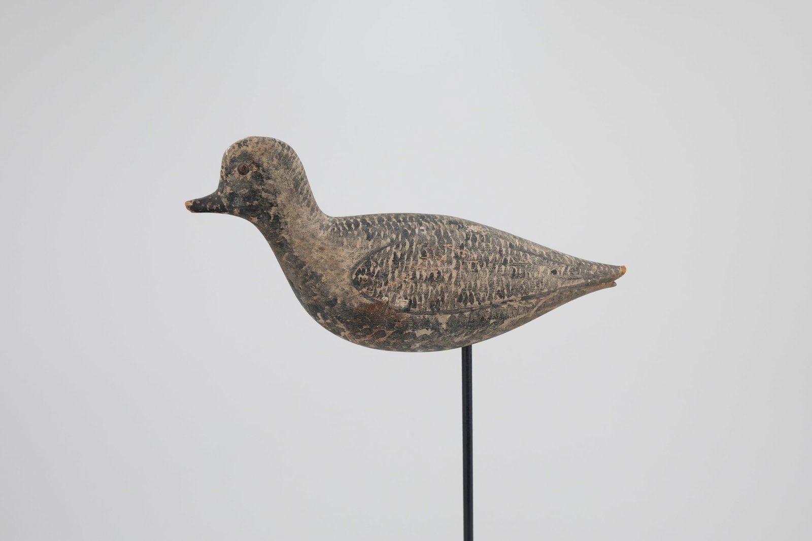 Black-Bellied Plover by George H. Boyd (1873-1941): Black-Bellied Plover George H. Boyd (1873-1941) Seabrook, NH, c. 1910 10 1/2 in. long As found with original paint and heavy wear. Provenance: Private Collection, Massachusetts, by descent