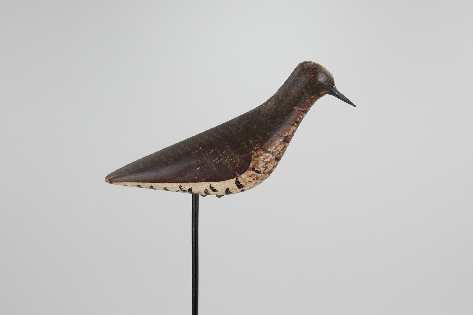 Golden Plover by E. Frank Adams (1871-1944) (1 of 5)