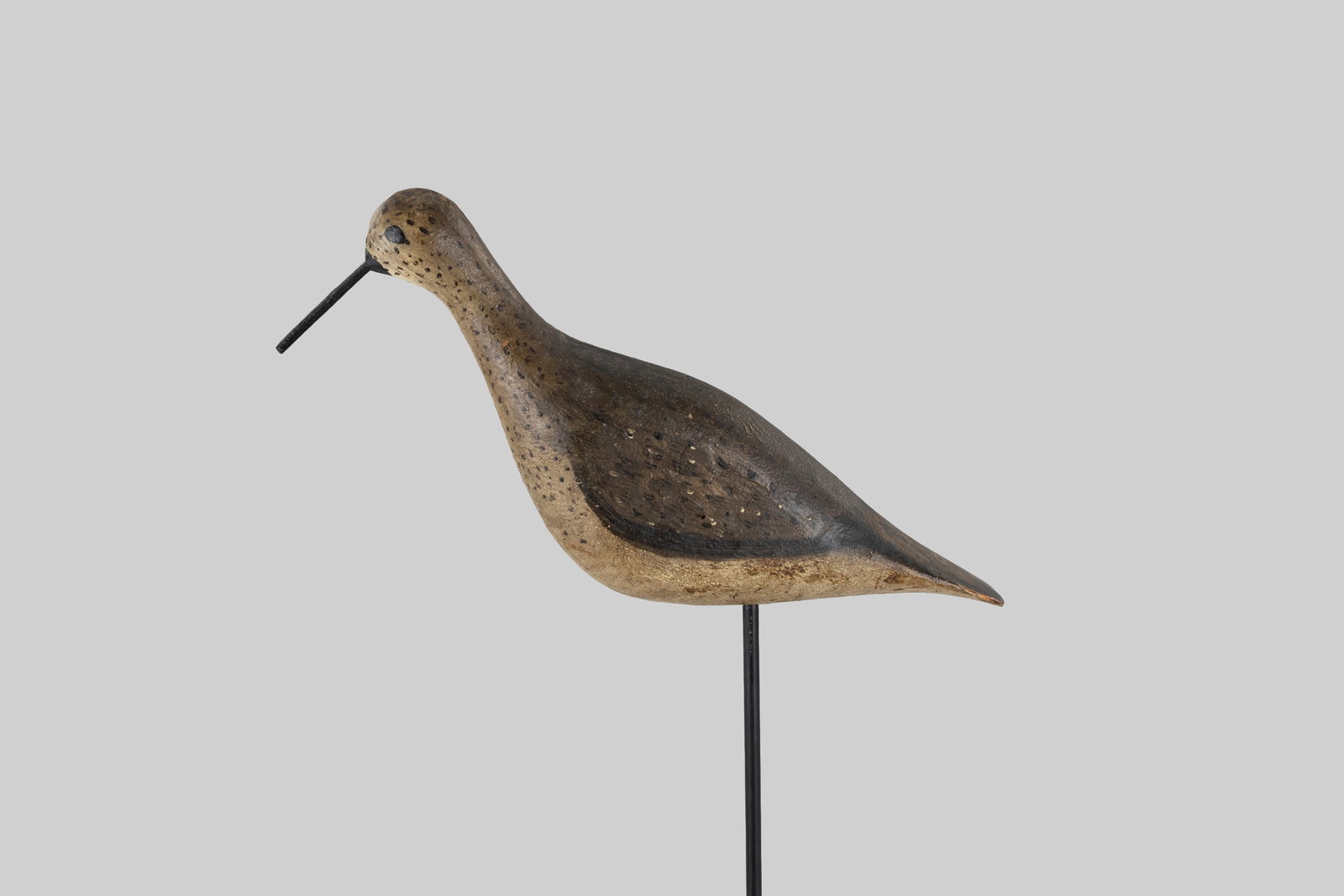 Willet - 2