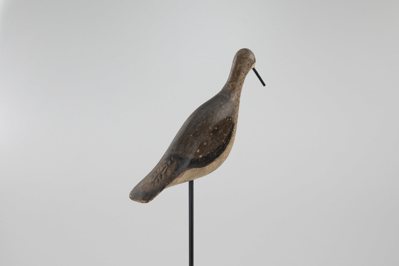 Willet - 3