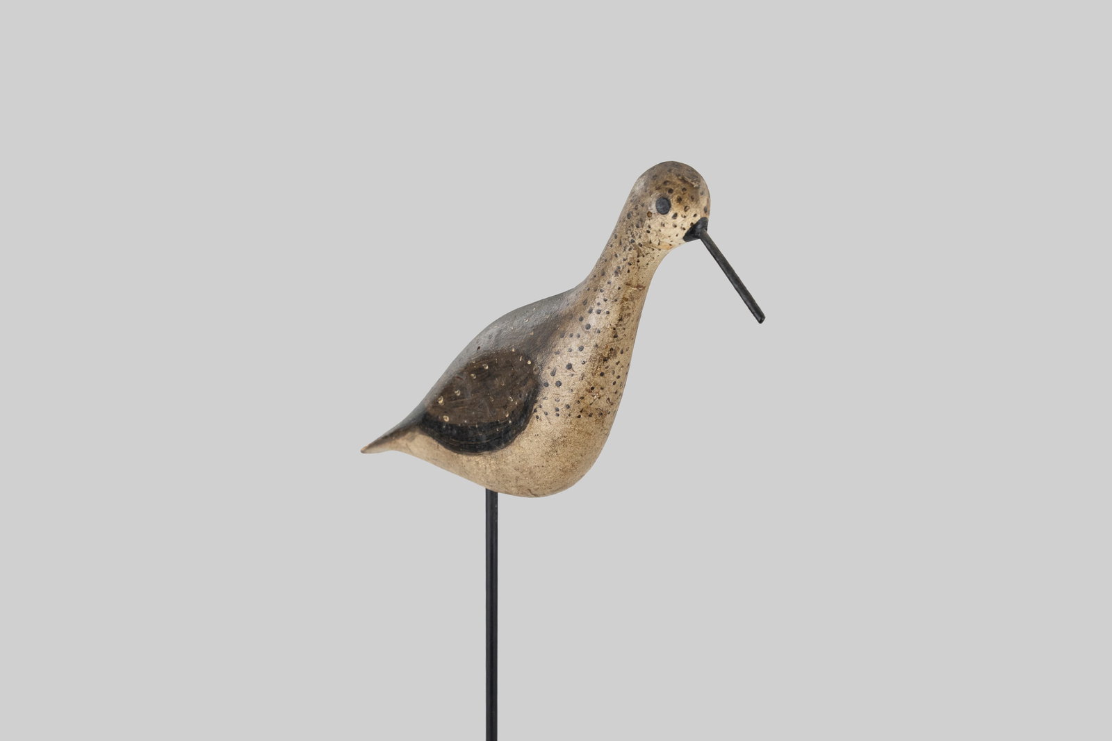 Willet - 5