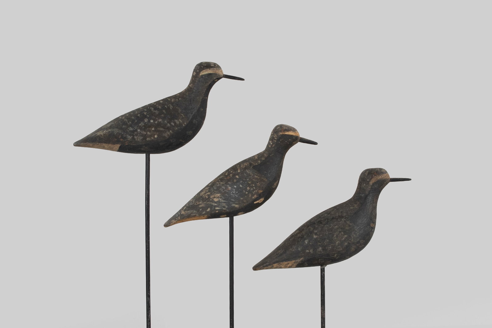 Golden Plover Trio by Lafayette Seabury (1823-1910): Golden Plover Trio Lafayette Seabury (1823-1910) Bridgehampton, Long Island, NY, c. 1875 10 in. long Original paint with gunning wear, one bird has original rough patch on left side.