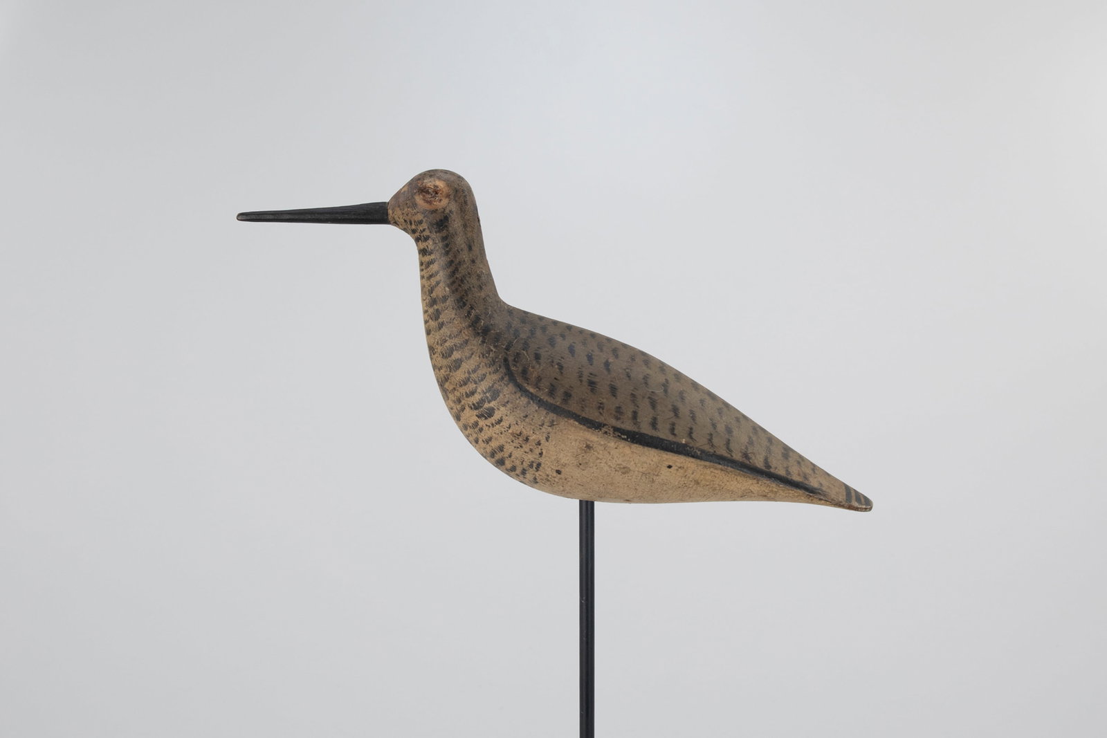 Long Port Yellowlegs - 2