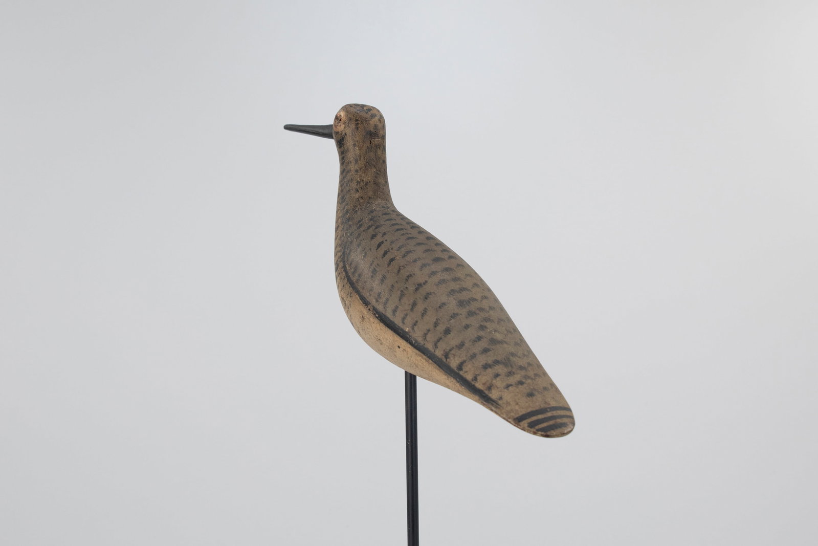 Long Port Yellowlegs - 3