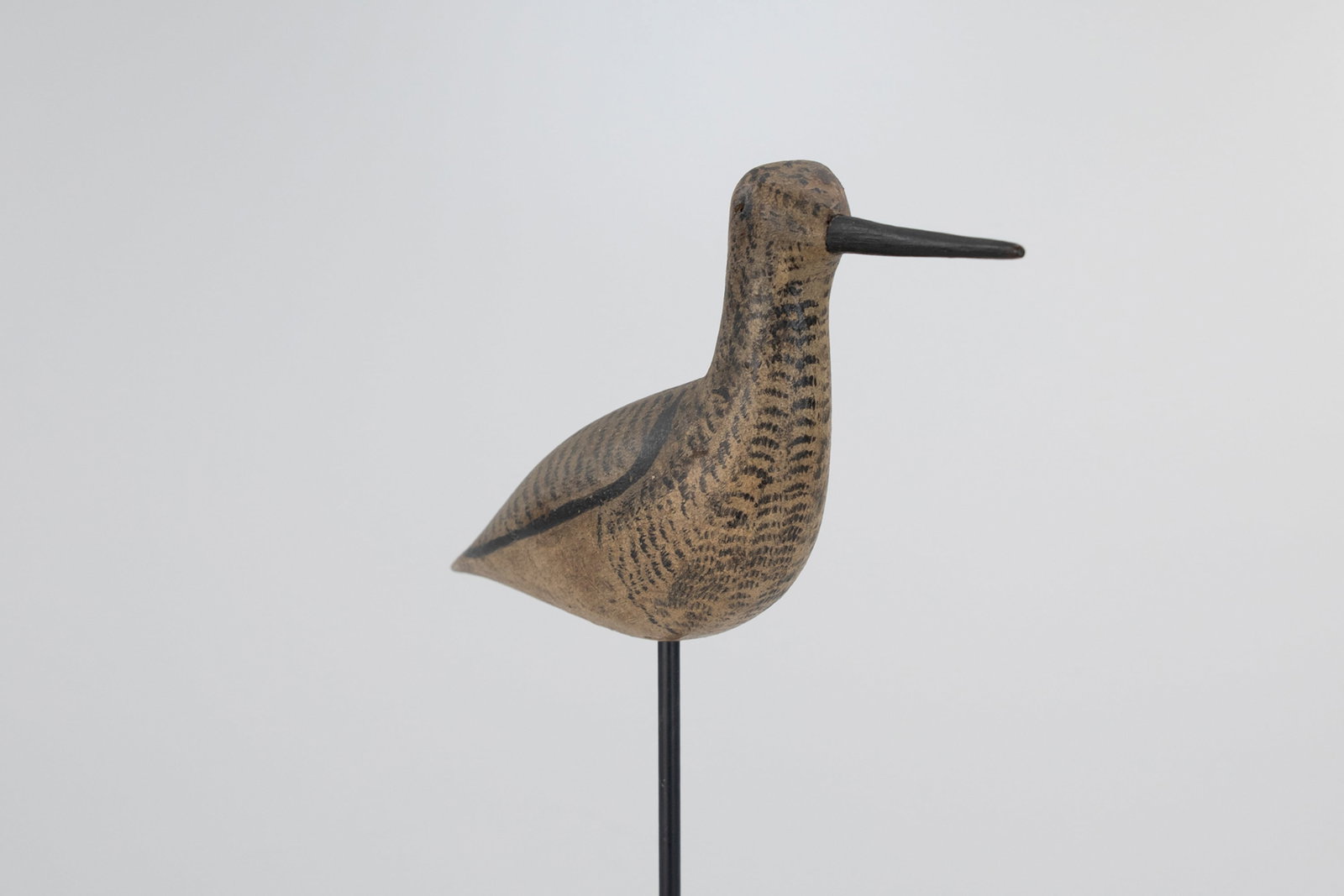 Long Port Yellowlegs - 5