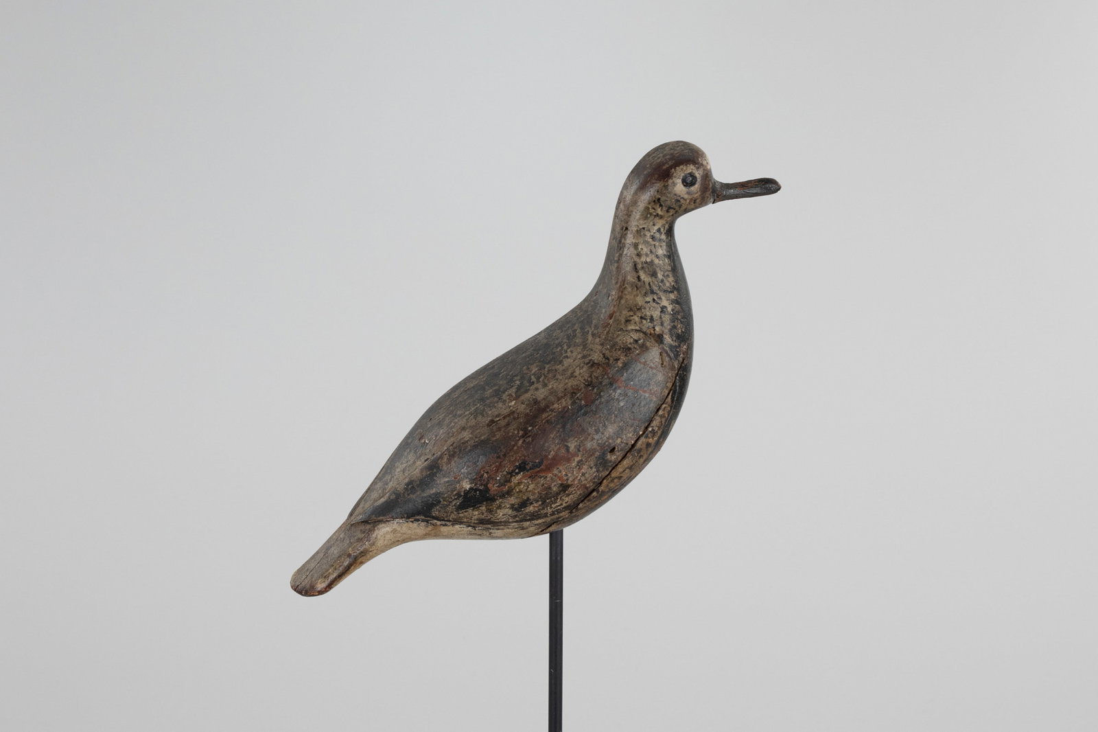 Black-Bellied Plover by Andrew "Grubie" Verity (1881-1976) (1 of 5)