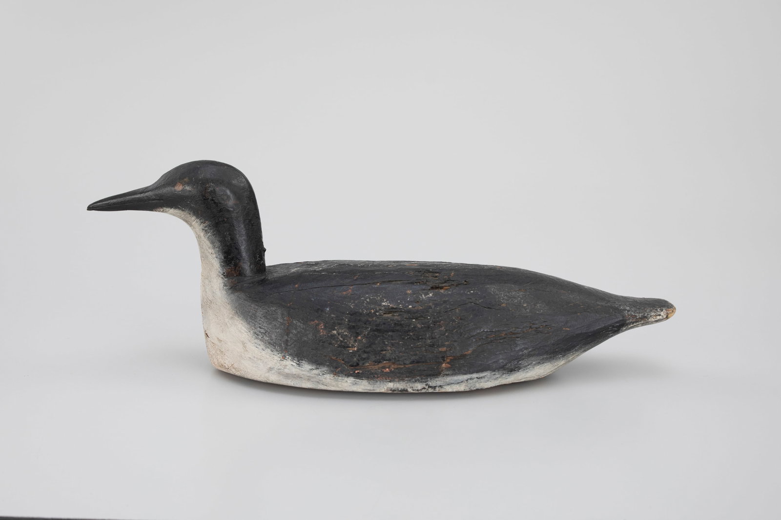 Rare Brayton Rig Red-Throated Loon (1 of 4)