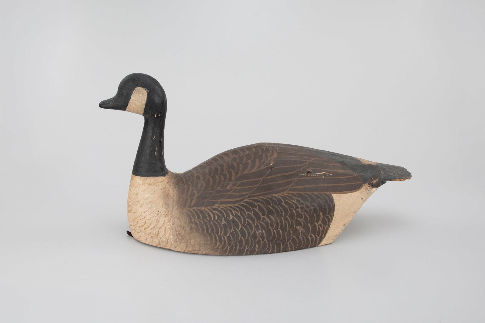 Canvas Canada Goose by George H. Boyd (1873-1941) (1 of 5)