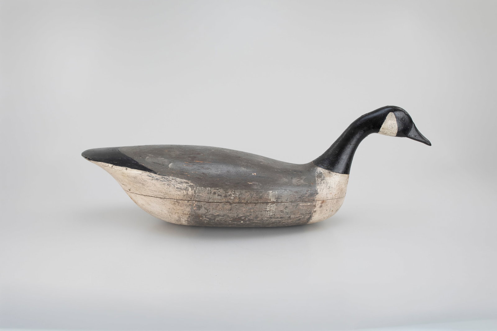 Swimming Canada Goose attributed to Samuel Soper (1863-1943) (1 of 5)