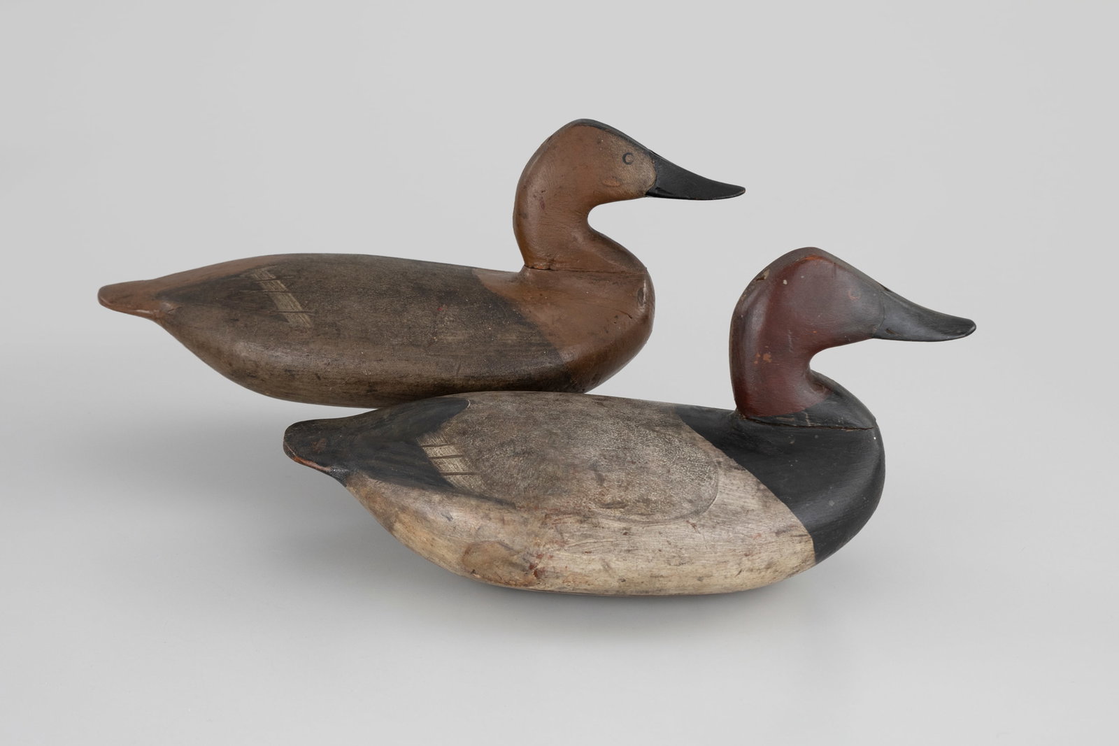 Canvasback Pair by Taylor Boyd (1856-1944) (1 of 5)