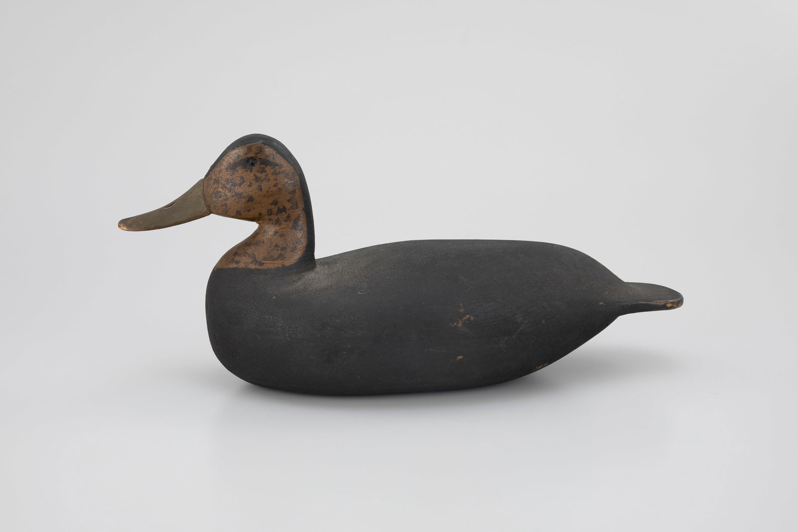 Black Duck by Levi Rhodes Truex (1860-1934) (1 of 5)