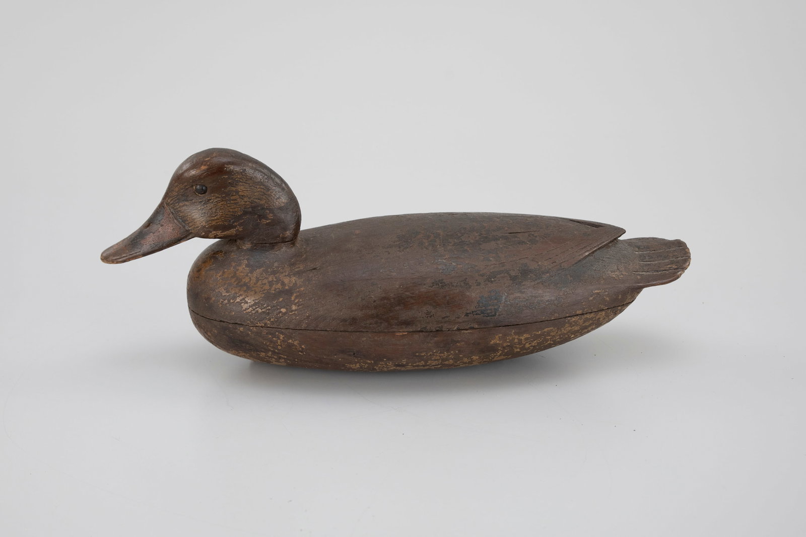 Mallard Hen by John English (1848-1915) (1 of 5)
