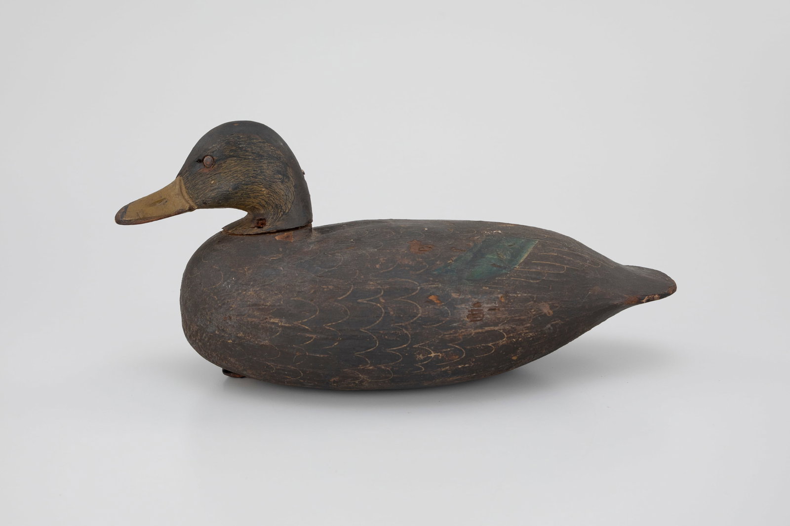 Black Duck by Ira D. Hudson (1873-1949) (1 of 5)