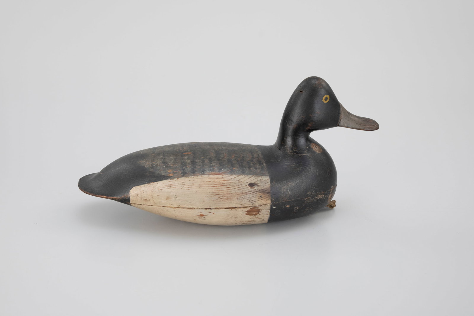 Early Broadbill by Harry V. Shourds (1861-1920) (1 of 5)