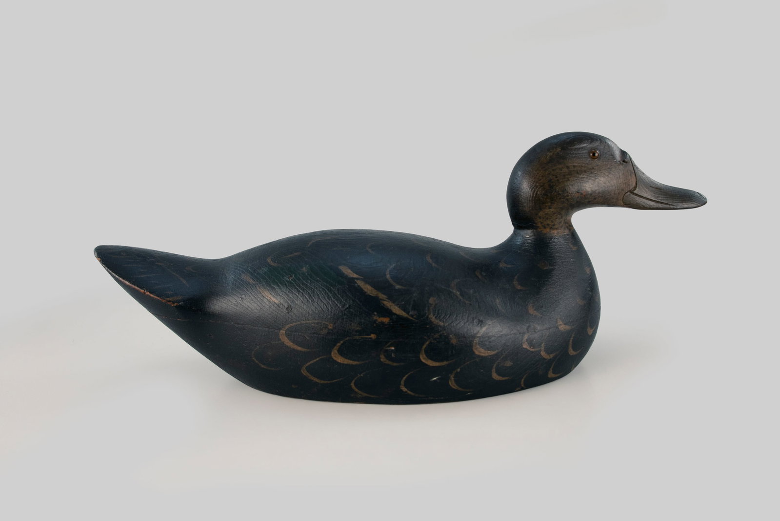 Premier-Grade Black Duck by the Mason Decoy Factory (1896-1924) (1 of 5)