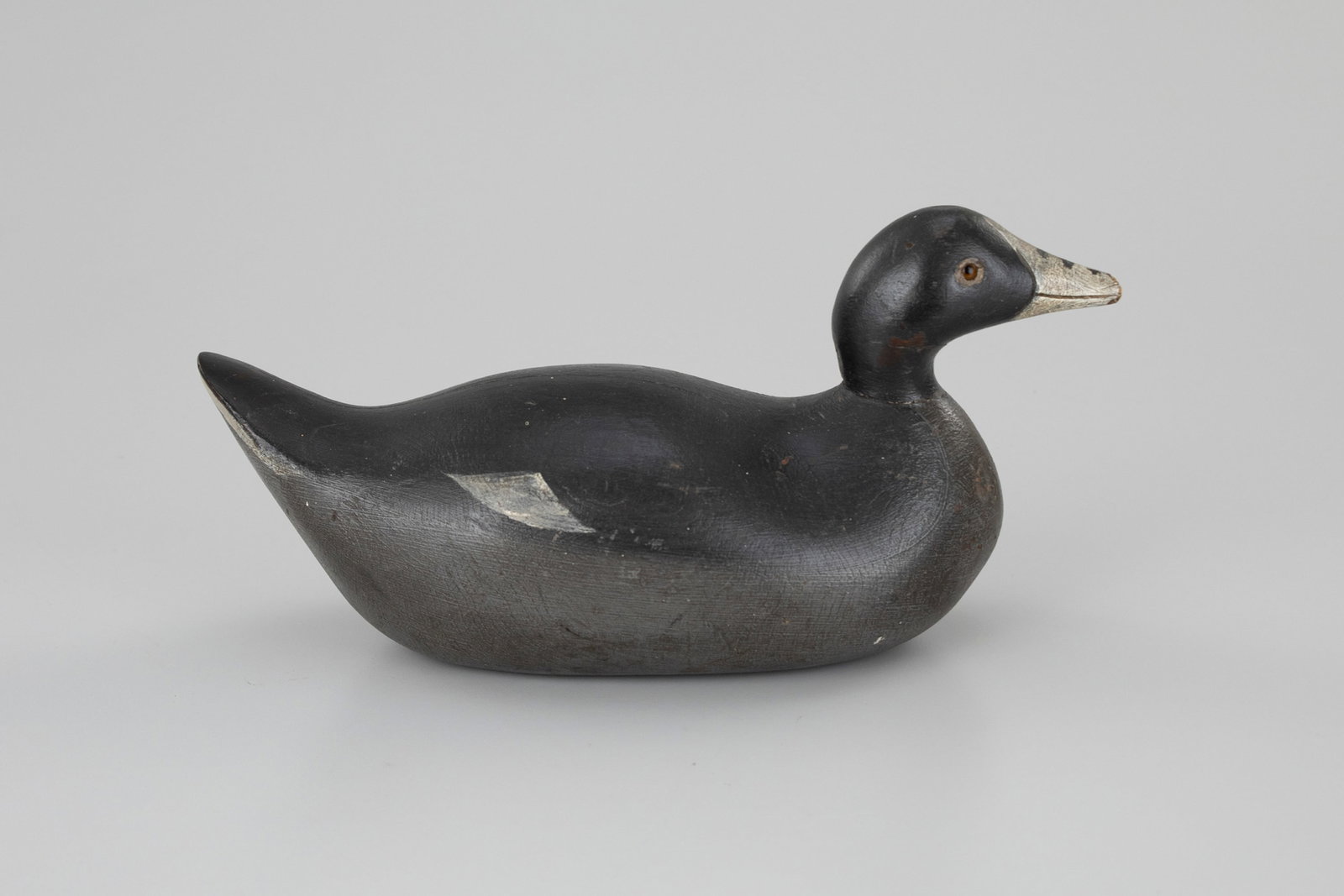 Challenge Grade Coot by the Mason Decoy Factory (1896-1924) (1 of 5)
