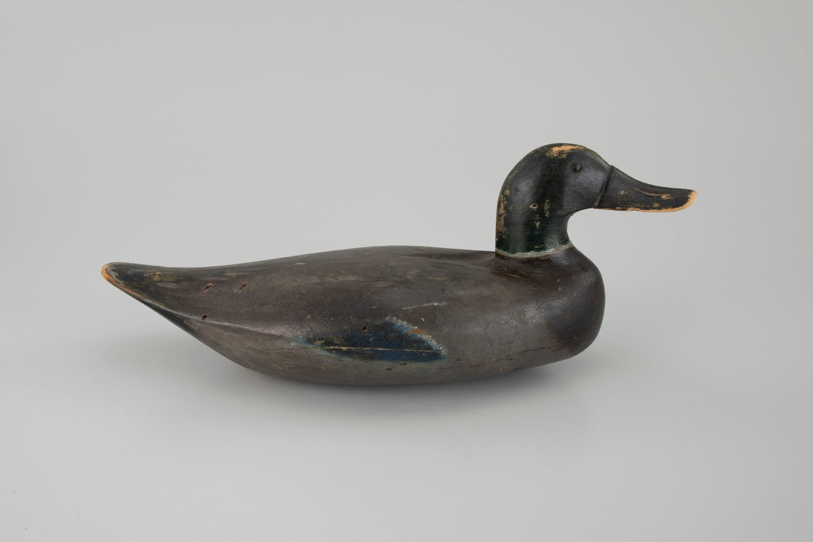Winous Point Mallard Drake (1 of 5)