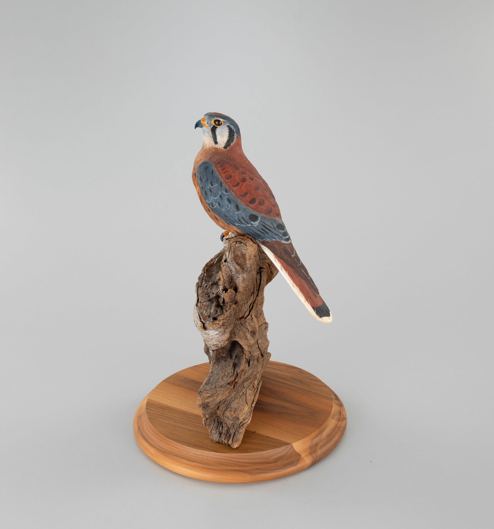 Kestrel by Floyd Scholz (b. 1958) (1 of 4)