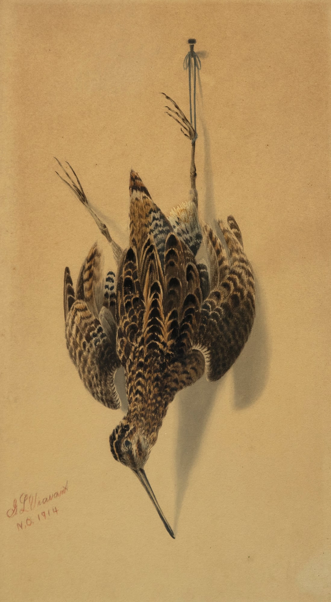 George Louis Viavant (1872-1925), Nature Morte: Snipe (1 of 3)