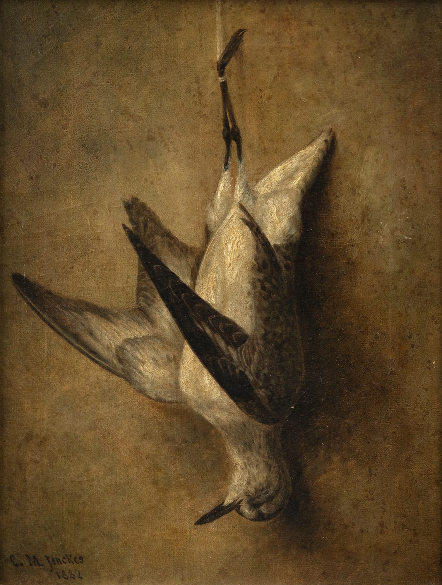 Charles M. Jenckes (Fl. Late-19th Century), Golden Plover (1 of 3)