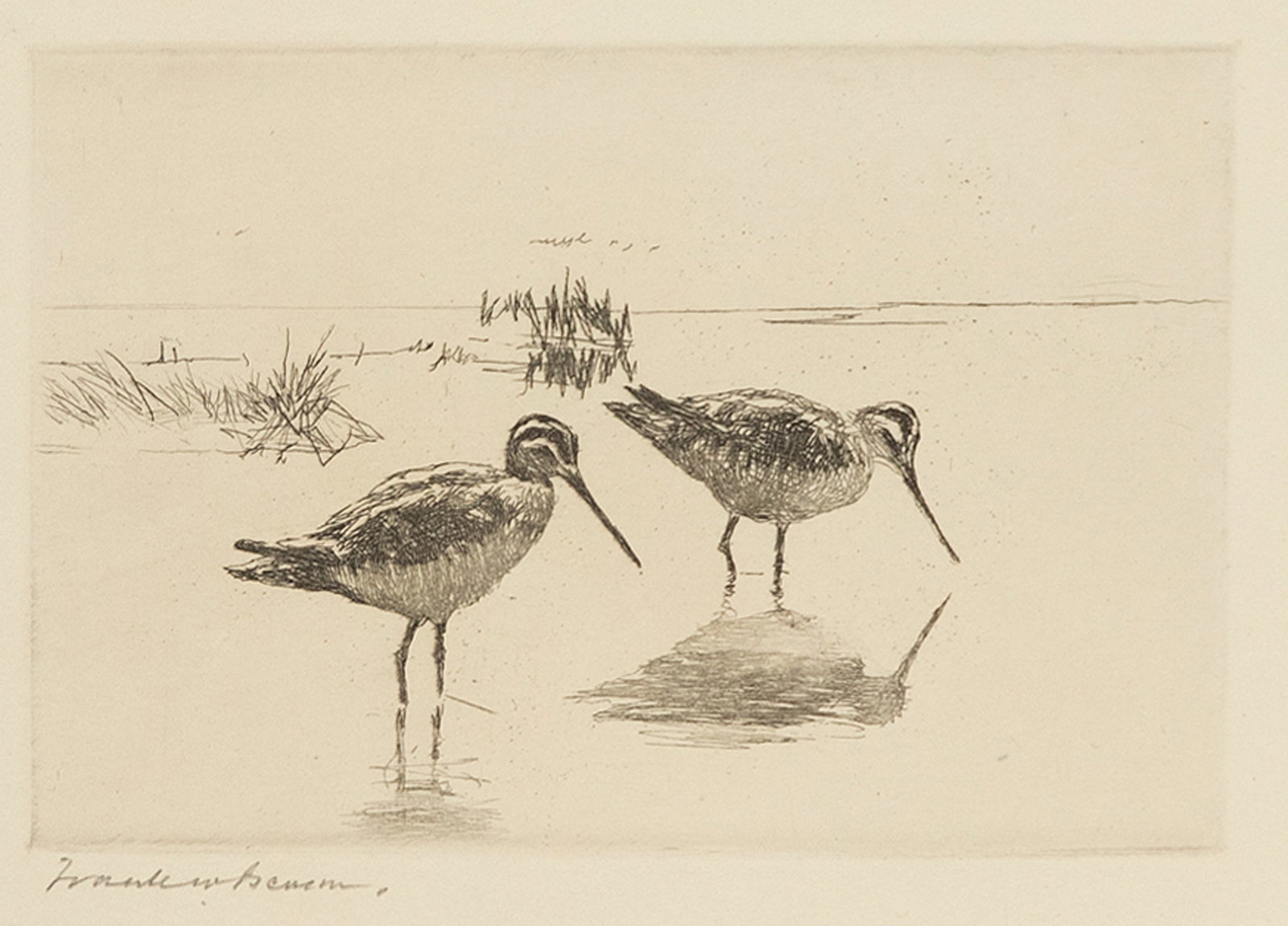 Frank W. Benson (1862-1951), Pair of Snipe (1 of 3)