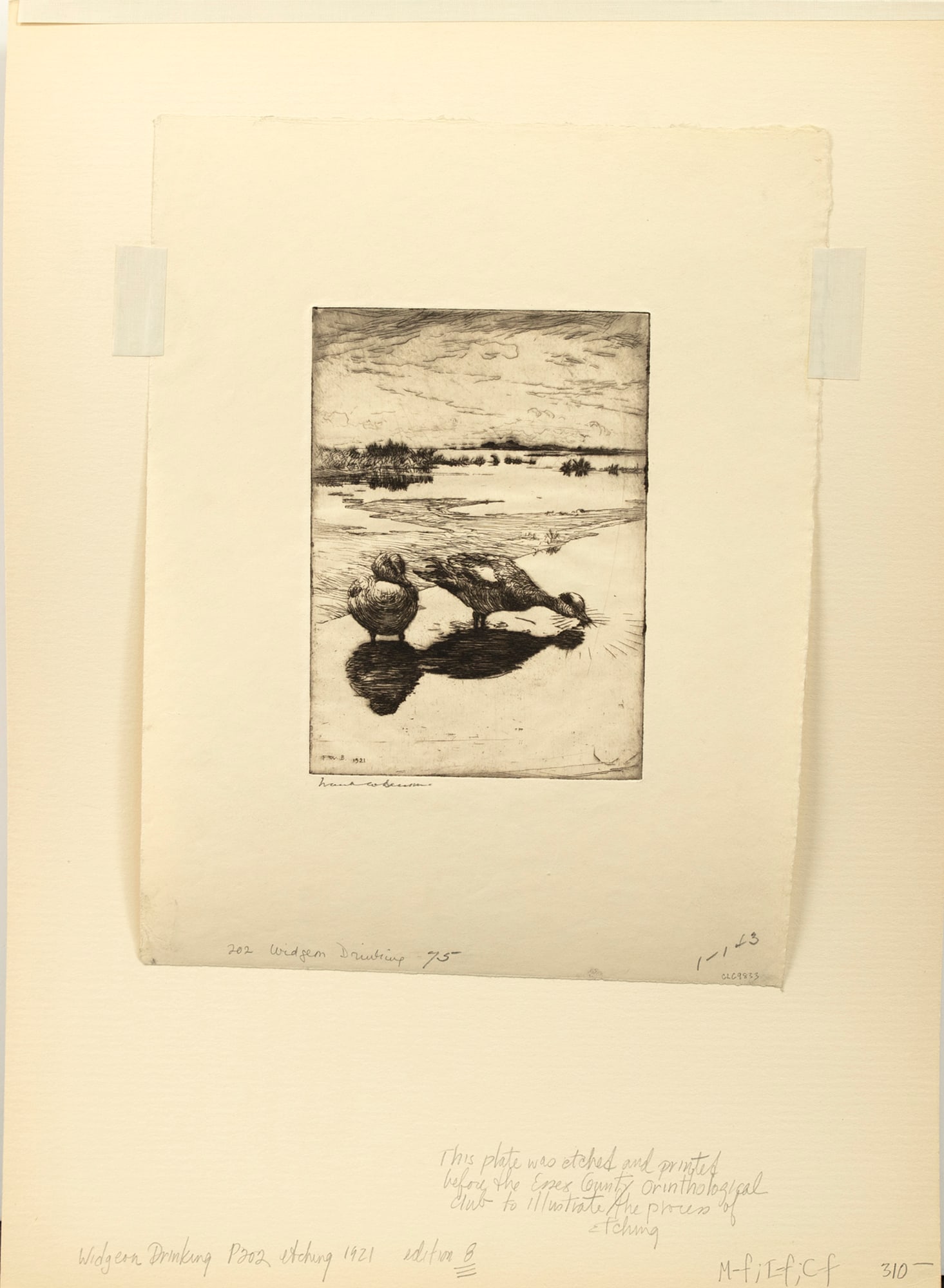 Frank W. Benson (1862-1951), Two Etchings: Frank W. Benson (1862-1951) Two Etchings, 1921 each signed "Frank W. Benson" lower left "Calm" Paff #199, edition of 150 4 3/4 by 6 3/4 in. "Widgeon Drinking" Paff #202, edition of 8 6 3/4 by 4 3/4 in