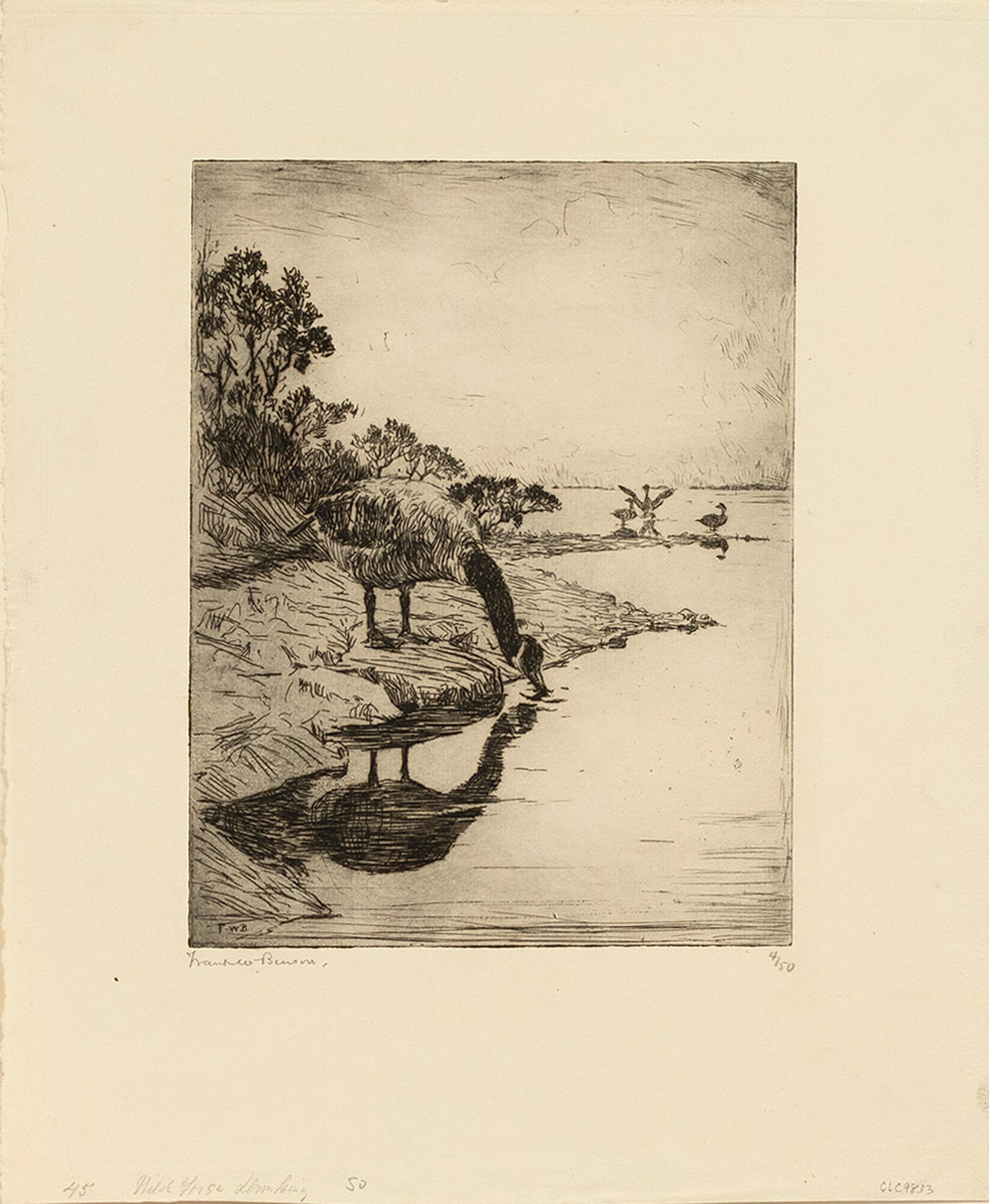 Frank W. Benson (1862-1951), Wild Goose Drinking (1 of 3)
