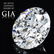 3.02 ct, Color H/VS1, Round cut Diamond