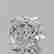 item-131731466=2