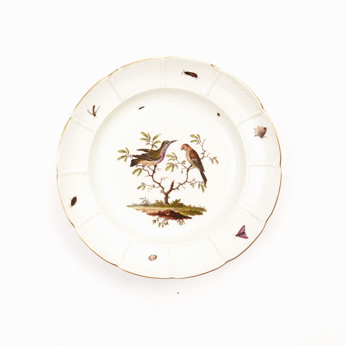 Deep Plate - Altozier: Birds on a Branch with Insects. Ludwigsburg circa 1760-1770. (1 of 1)