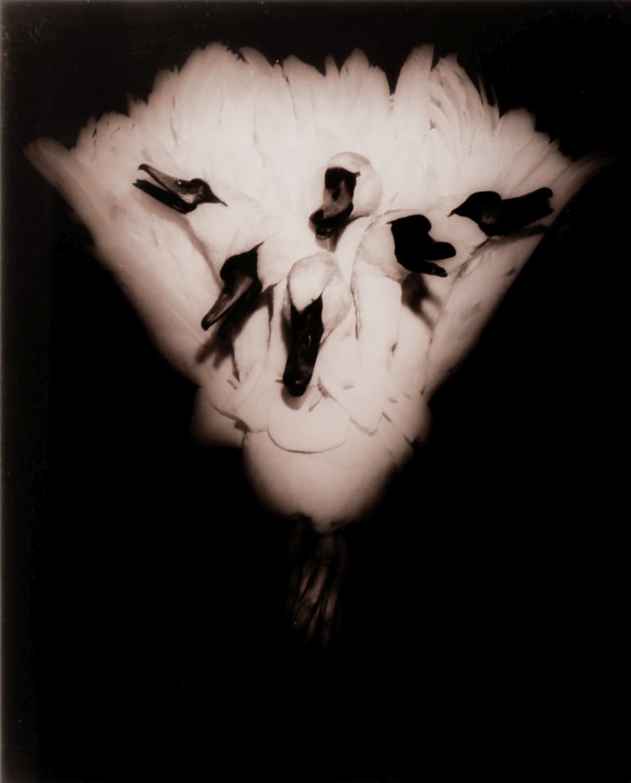 Desirée Dolron (1 of 2)