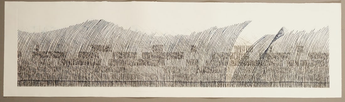 Johannes Haider: Johannes Haider 1954 Eisenstadt - 2014 Oslip - "The water splashes on the shore" - (2011) Color etching/paper. 11/34. 49.4 x 199 cm, 60.1 x 214.9 cm. Signed and dated lower right: Johannes H