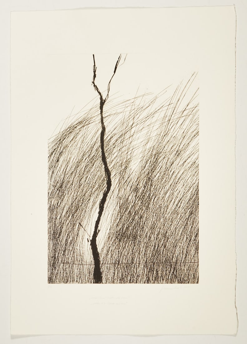 Johannes Haider: Johannes Haider 1954 Eisenstadt - 2014 Oslip - "Sometimes everything is very difficult & it's beautiful in black and white" - (2010) Color etching/paper. 7/34. 49.5 x 32.8 cm, 70.2 x 49