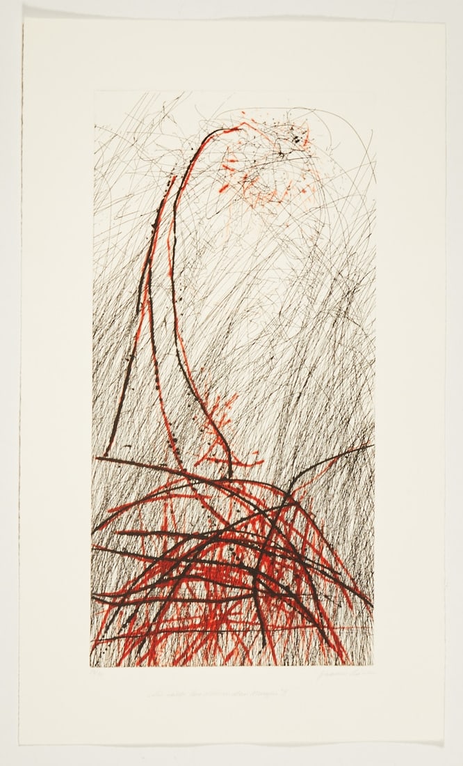 Johannes Haider: Johannes Haider 1954 Eisenstadt - 2014 Oslip - "The Wild Rose Stands in the Morning" - (2010) Color etching/paper. 26/34. 49.2 x 24.6 cm, 62 x 36.8 cm. Signed and dated lower right: Johannes