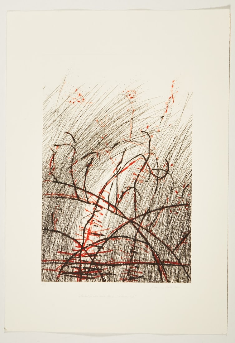 Johannes Haider: Johannes Haider 1954 Eisenstadt - 2014 Oslip - "That makes no sense at all" (lit. "That has no hand and no foot at all") - (2010) Color etching/paper. 31/34. 49.5 x 32.8 cm, 70 x 4