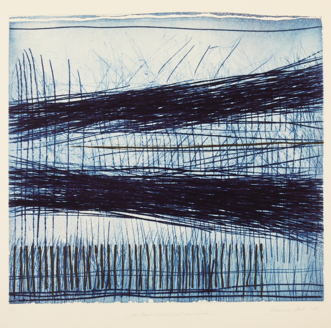 Johannes Haider: Johannes Haider 1954 Eisenstadt - 2014 Oslip - "The Hail Melts on the Ground" - (2008) color etching/paper. 2/34. 49.8 x 49.4 cm, 62 x 61.6 cm. Signed and dated lower right. Johannes