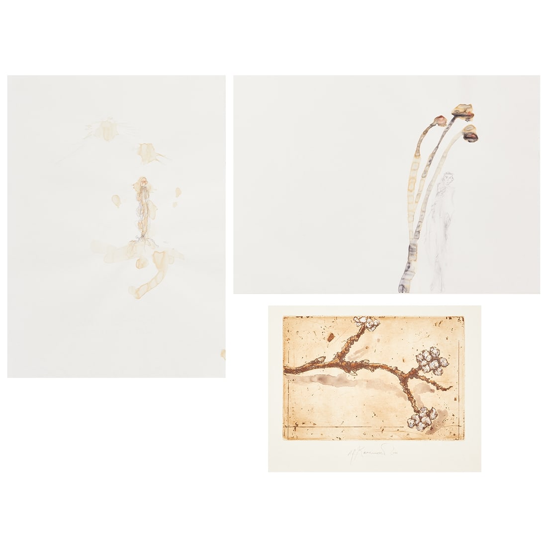 Anton Paul Kammerer: Anton Paul Kammerer 1954 Weißenfels - lives in Burgstädtel - Cherry Blossom - (2000) color etching/paper. 11.8 x 17.4 cm, 39.5 x 26.6 cm. Signed and dated lower middle: A. P. Kammerer