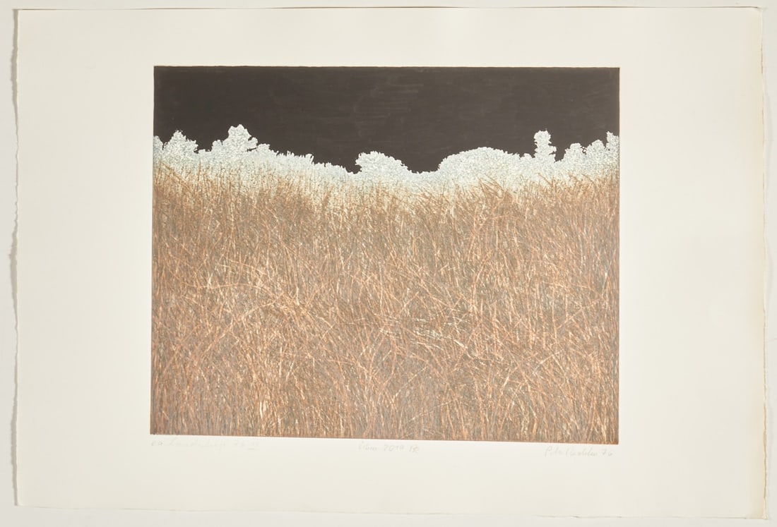 Peter Redeker: Peter Redeker 1942 Semmering/Styria - lives in Hanover - Untitled (Field with black sky) - (1976) Hand-colored etching/paper. e. a. 39 x 49.1 cm, 52.7 x 78.5cm. Signed and dated lower right Peter