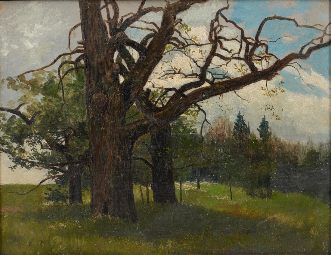 Karl Buchholz: Karl Buchholz 1849 Schlossvippach, Sömmerda district - 1889 Oberweimar - Dead Tree - Oil/canvas on cardboard. 32 x 40 cm. Inscribed on the reverse of the cardboard: Original by Karl Buchholz in W