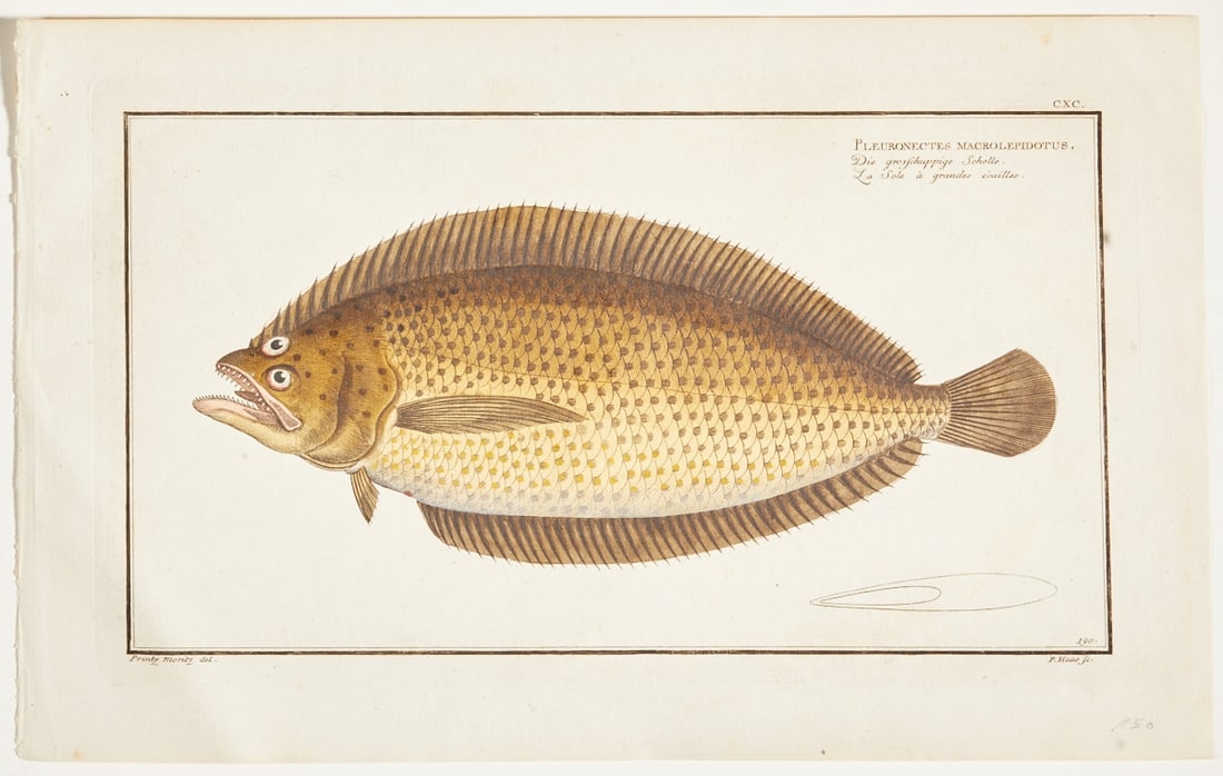 Peter Haas / Prince Moritz (1 of 1)