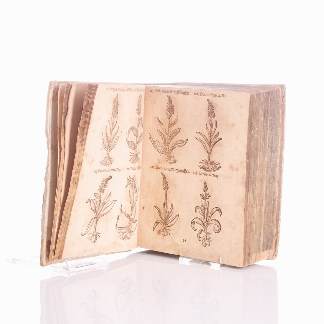Thomas Pancovius: Thomas Pancovius - "Herbarium portatile, oder Kr?¤uter- und Gew?¤chs-buch" - C?¶lln an der Spree, Schultze 1673. Revised and improved by Bartholom?¤us Zorn. Pigskin with gold-embossed spine. Tripl