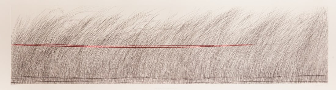Johannes Haider: Johannes Haider 1954 Eisenstadt - 2014 Oslip - "The Horizon Lies in the Clear Grass" - (2009) color etching/paper. 32/34. 49 x 198 cm, 62 x 215 cm. Signed and dated lower right: Johannes